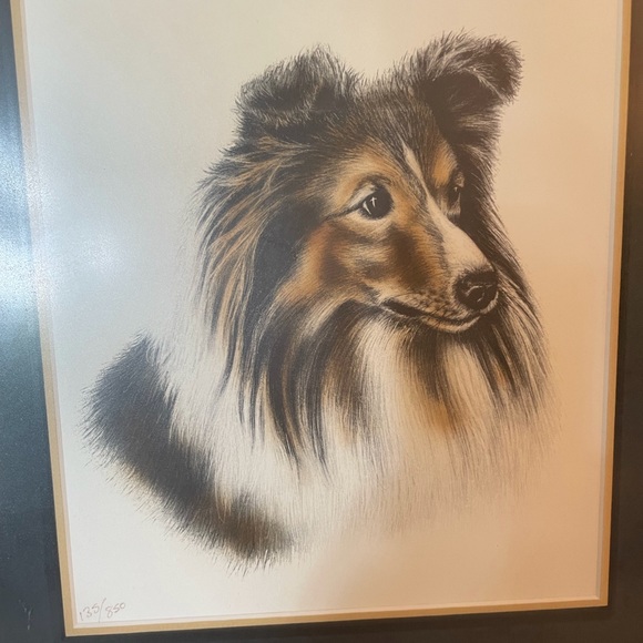 Vintage framed border collie print, numbered - Picture 3 of 4